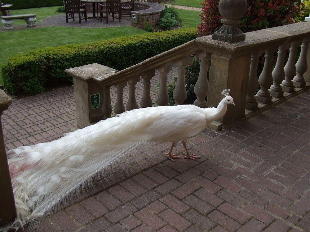 Pendley Manor Hotel Tring Buitenkant foto